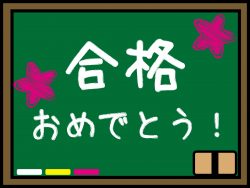 平成24年度大学合格実績